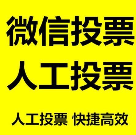 漯河市微信投票哪个速度快？